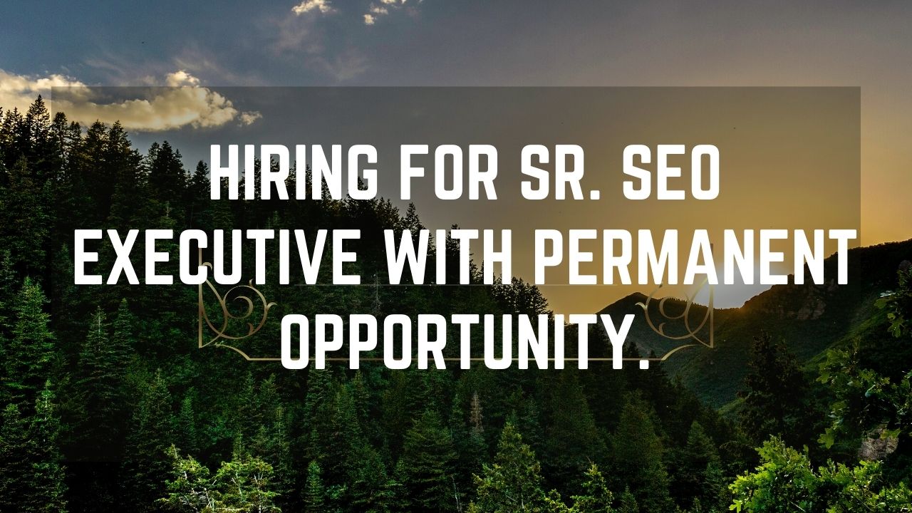Hiring For  SR. SEO Executive with Permanent Opportunity.