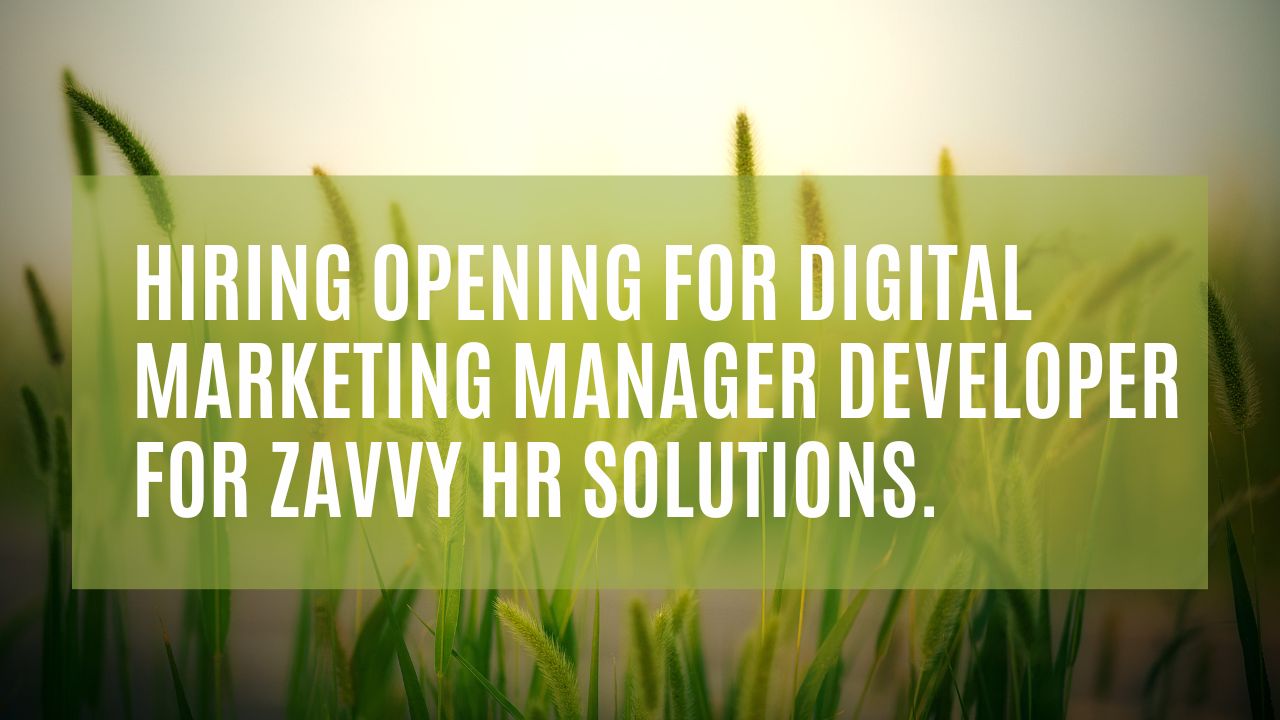 Hiring Opening For Digital Marketing Manager Developer For Zavvy HR Solutions.