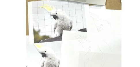 Basics on Getting Your Image Onto Watercolour Paper – Grid, Tracing or Light Box