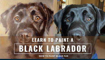 Learn To Paint A Black Labrador in Acrylic Paint : Step by Step Guide To Painting Black Fur