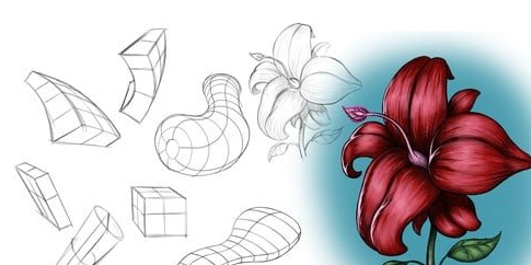 Udemy How to Draw with Organic Forms