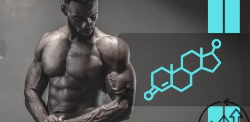 Udemy – Optimize Testosterone: Natural Methods for Peak Performance