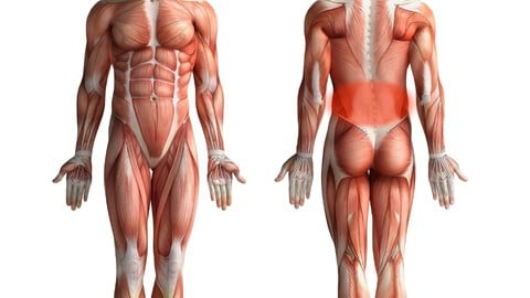 AVvXsEgN u 1 Fv gBAXMkv 8agLKiz9sWPoSk 6bfxOkGF8LUt7huwEUQQFWuinPWlo1MYJHAUVSjCbYhqTaKWF8nGVbsn7eAnD3r8MgV