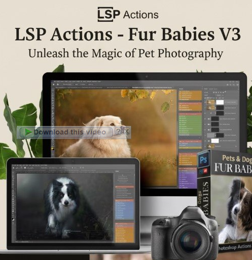 AVvXsEi9PdRFLjFsV8qekd61EEVyn GouNmFN Hom3xIhsoELH2OBl1p sLbMZShEuymochS6Ul7pcUPOHb5Vgaw9ZD1Q4fOTmlYWUePjHjGBuMN3RQljxa2YpBbQPnacnqw47UclJJSkbcVnT2 2uH46qTs5XuY6xpN75EvGgEk fiNMKdyXp37uQQGTDFCPlc=s16000