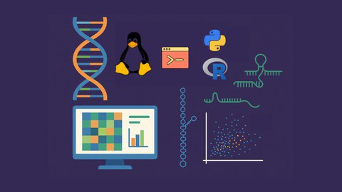 Udemy – Advanced Transcriptomics: lncRNA, miRNA & Psi-Seq Analysis 2 AVvXsEgCQnHoKhaQixu5lst9Vf4fmuf96CR4wjMUUqh6kfQsUQKgiFoPMsaJHO1UH5S0aOZUxN5UxNGPOnVEM7UB1XD2Y0 5naSmlnm9K8iTlvW dLvv0IDYrxJzkJPL51
