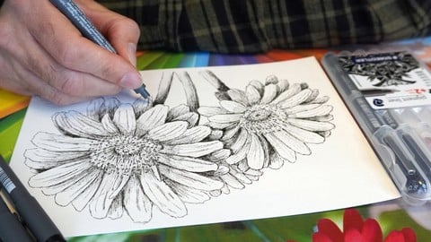 Udemy – MasterClass Drawing Flowers with a Pen and a bit of Graphite 2 AVvXsEgjl YW9M7VSIwdLFMF3 bTT0UHct1IclfE7PlRZIuXqxF7iqwHx1IrB80niFTDpz91mql08cXZV iC5Ejm4Xg4dBM5IwHIuJs7X3pEfcSQhXjzcptc5CuwNi